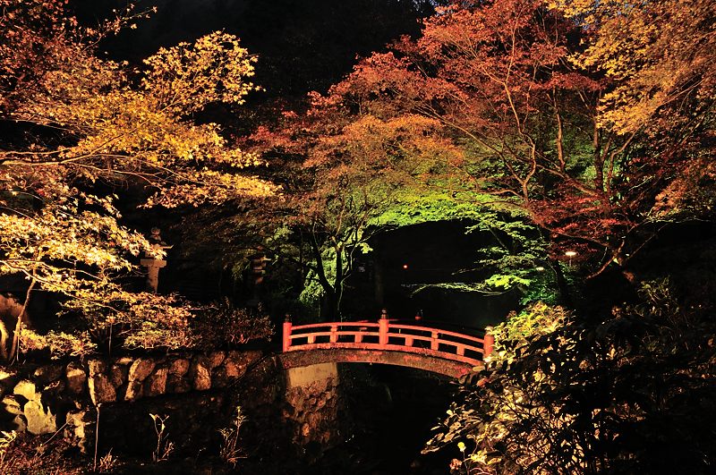 横蔵寺の紅葉ライトアップ てつの日常茶飯事